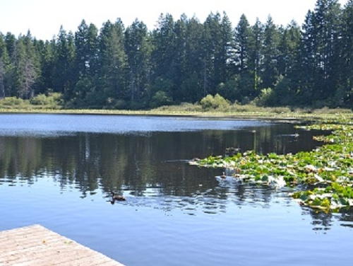 Lower level fireplace